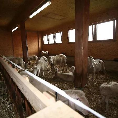 S' Himmelreich-1 By Interhome * Huben (Imst)